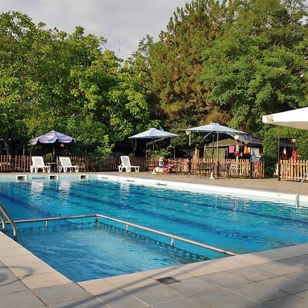 פלאקה ליטוחורו Camping Mitikas And Bungalows מראה חיצוני תמונה