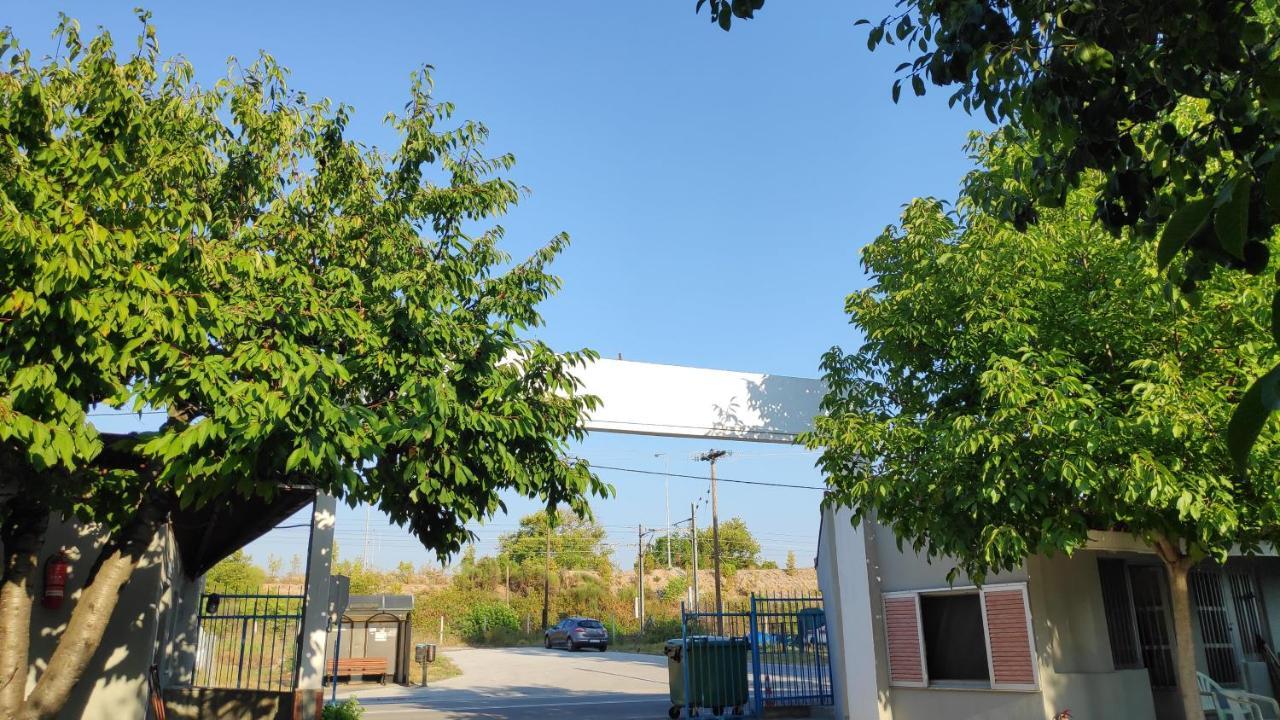 פלאקה ליטוחורו Camping Mitikas And Bungalows מראה חיצוני תמונה